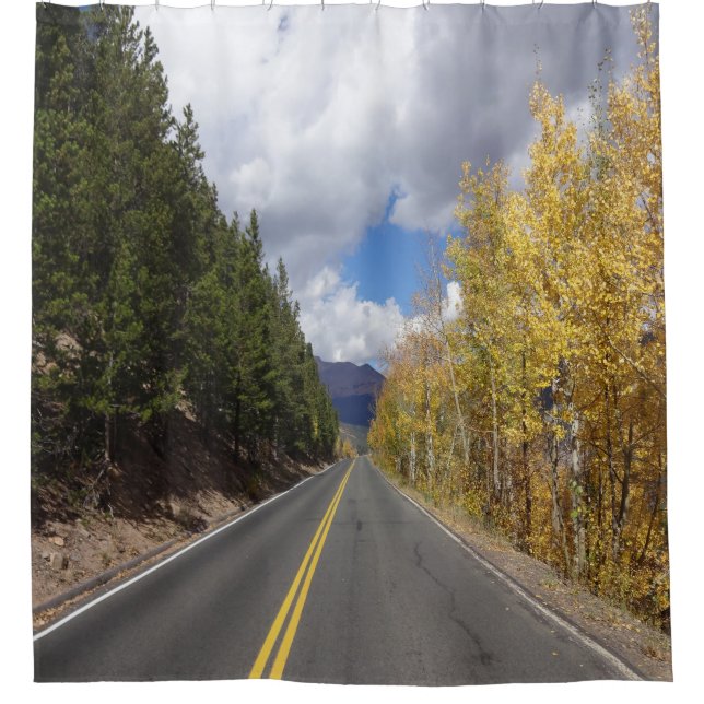 Fall Aspens Showurst Duschvorhang (Vorderseite)