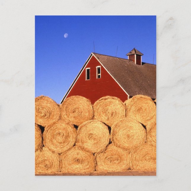 Fall auf dem Bauernhof Postkarte (Vorderseite)