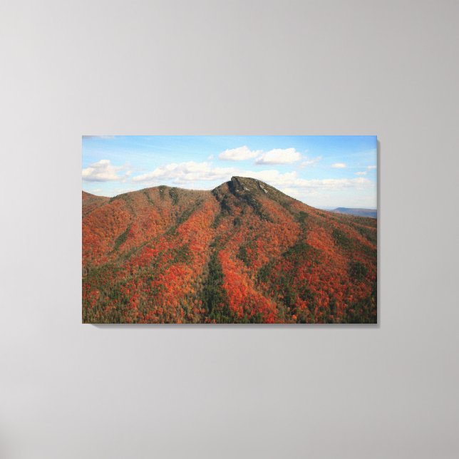 Fall auf dem Hawksbill Mountain, North Carolina Leinwanddruck (Vorderseite)
