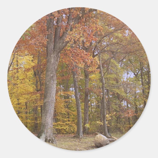 Fall auf dem Parkaufkleber Runder Aufkleber (Vorderseite)