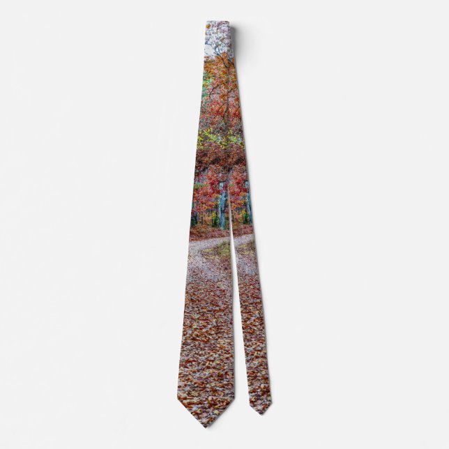 Fall auf der dirt Road Neck Tie Krawatte (Vorderseite)