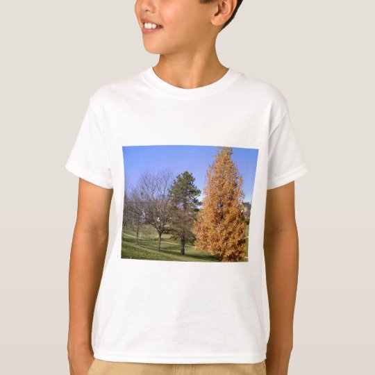 Fall-Bäume T-Shirt