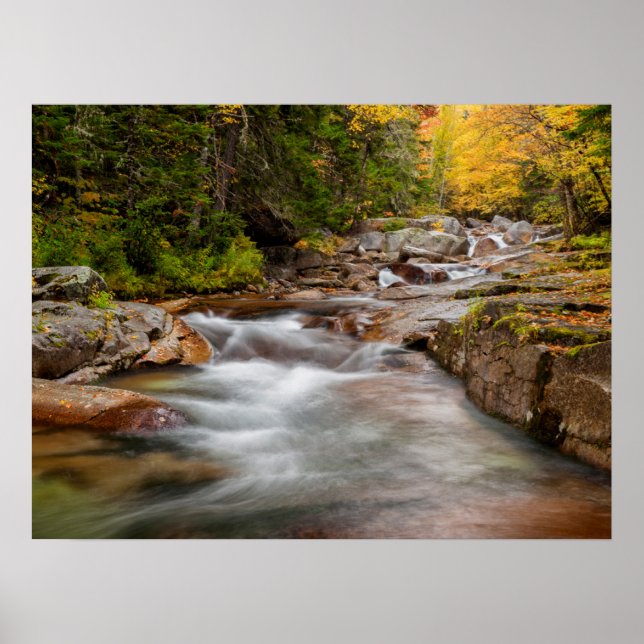 Fall bei Jefferson Brook, New Hampshire Poster (Vorne)