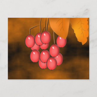 Fall Berries & Blätter Postkarte