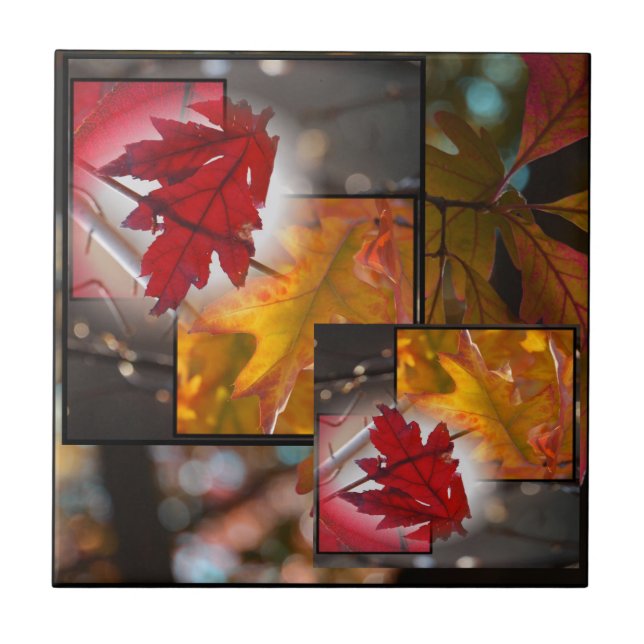 Fall-Blatt-Collagen-kleine Fliese (Vorderseite)