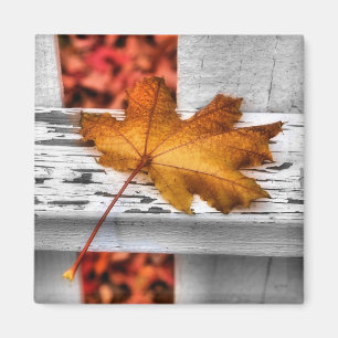 Fall-Blatt-Magnet Magnet