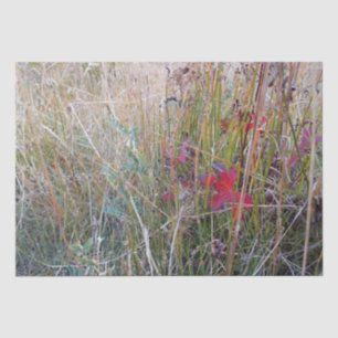 Fall-Blatt-Seidenpapier Seidenpapier