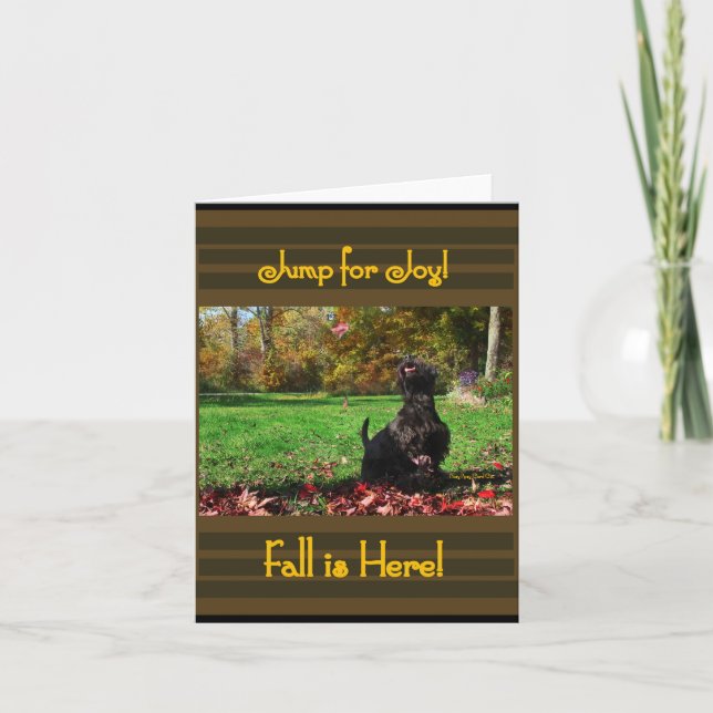 Fall Bliss (Vorderseite)