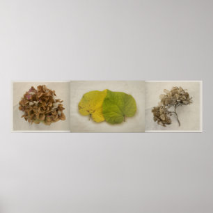 Fall-Blumen tryptich Poster
