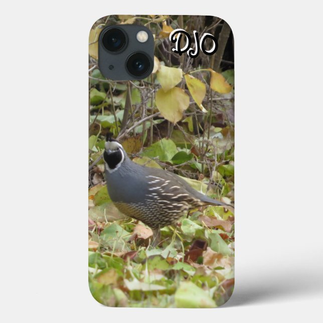 Fall California Quail Case-Mate iPhone Hülle (Rückseite)