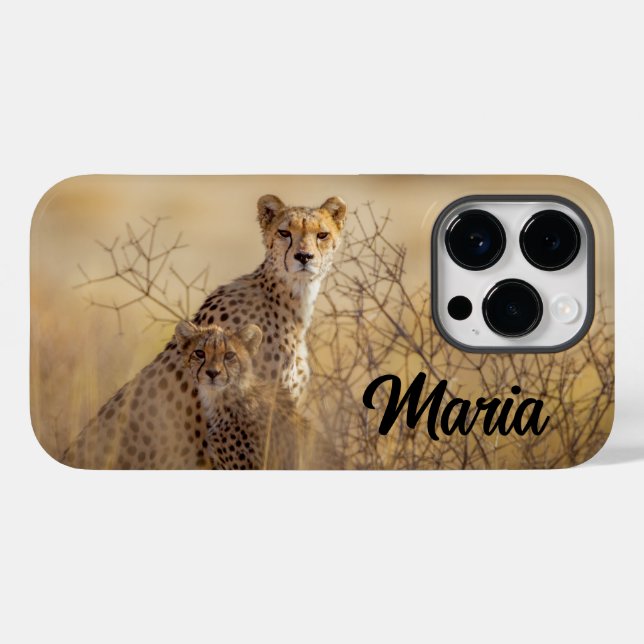 Fall Cheetahs Case-Mate iPhone Case-Mate iPhone 14 Pro Hülle (Rückseite (Horizontal))