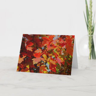 Fall collection Note card Karte