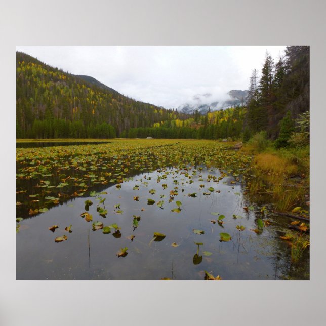 Fall Color at Cube Lake Poster (Vorne)