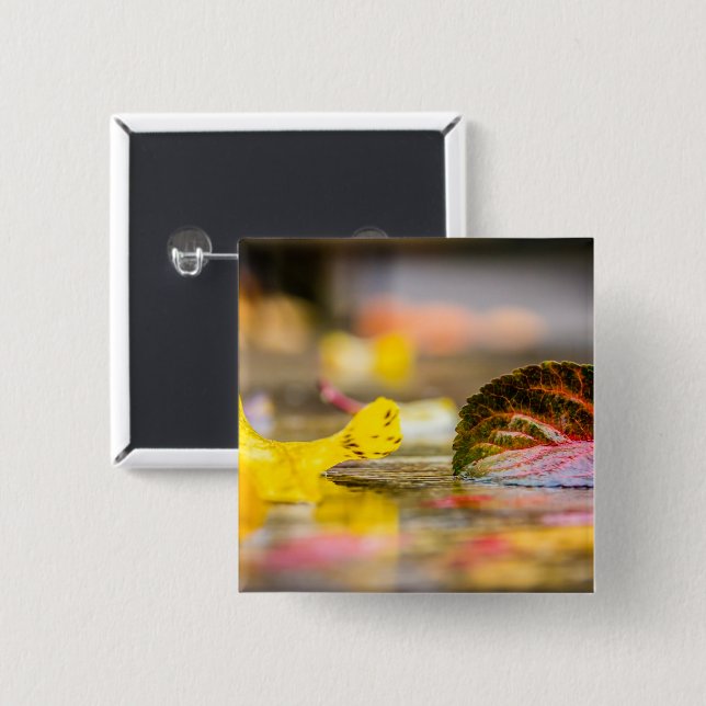 Fall colors button (Vorne & Hinten)