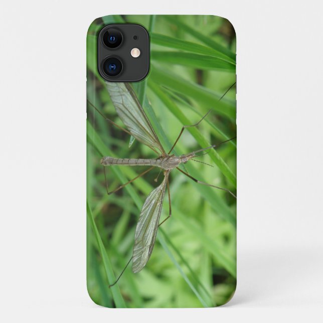 Fall Crane Fly iPhone 3 Case-Mate iPhone Hülle (Rückseite)