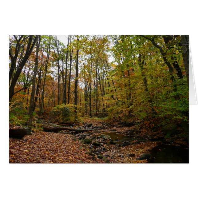 Fall Creek auf Laurel Hill Staat Park Pennsylvania (Vorderseite (Horizontal))