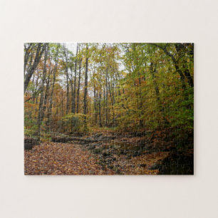 Fall Creek auf Laurel Hill Staat Park Pennsylvania