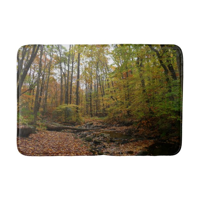 Fall Creek auf Laurel Hill Staat Park Pennsylvania Badematte (Vorderseite)