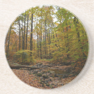Fall Creek auf Laurel Hill Staat Park Pennsylvania Getränkeuntersetzer