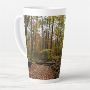 Fall Creek auf Laurel Hill Staat Park Pennsylvania Milchtasse