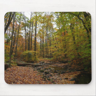 Fall Creek auf Laurel Hill Staat Park Pennsylvania Mousepad