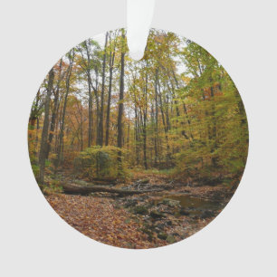 Fall Creek auf Laurel Hill Staat Park Pennsylvania Ornament