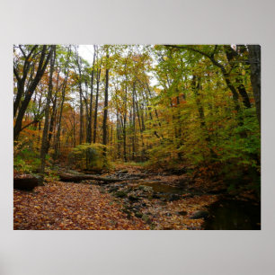 Fall Creek auf Laurel Hill Staat Park Pennsylvania Poster