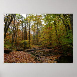 Fall Creek auf Laurel Hill Staat Park Pennsylvania Poster