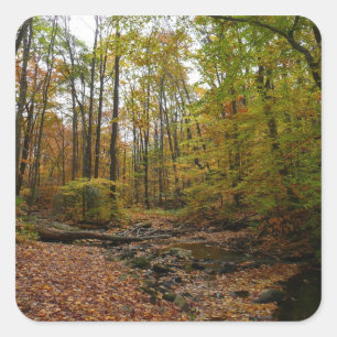 Fall Creek auf Laurel Hill Staat Park Pennsylvania Quadratischer Aufkleber