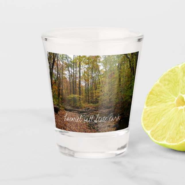 Fall Creek auf Laurel Hill Staat Park Pennsylvania Schnapsglas (Vorderseite)