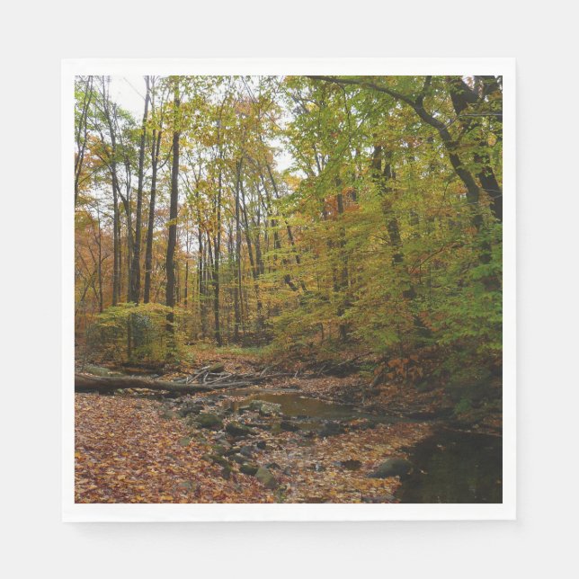 Fall Creek auf Laurel Hill Staat Park Pennsylvania Serviette (Vorderseite)