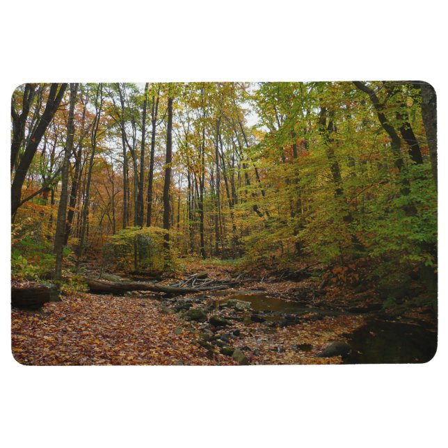 Fall Creek im Laurel Hill Staat Park Bodenmatte (Vorderseite)