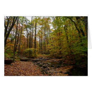Fall Creek im Laurel Hill State Park Pennsylvania