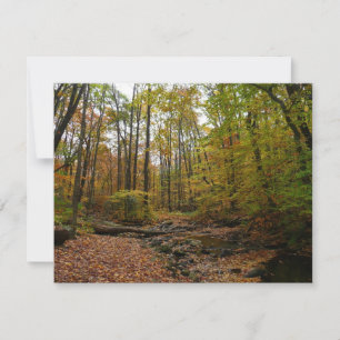 Fall Creek im Laurel Hill State Park Pennsylvania