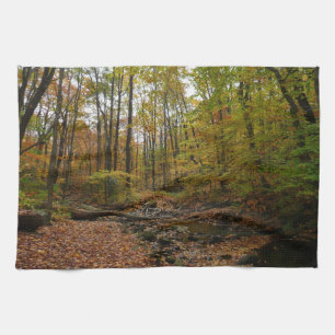 Fall Creek im Laurel Hill State Park Pennsylvania Geschirrtuch