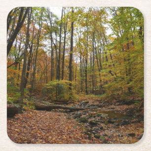 Fall Creek im Laurel Hill State Park Pennsylvania Rechteckiger Pappuntersetzer
