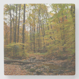 Fall Creek im Laurel Hill State Park Pennsylvania Steinuntersetzer