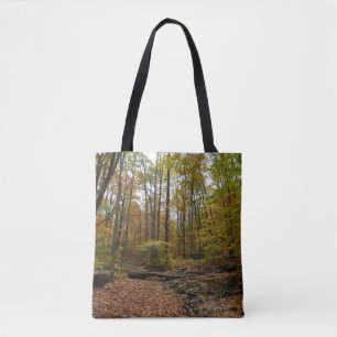 Fall Creek im Laurel Hill State Park Pennsylvania Tasche