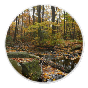 Fall Creek mit Blick auf den Laurel Hill Park Keramikknauf