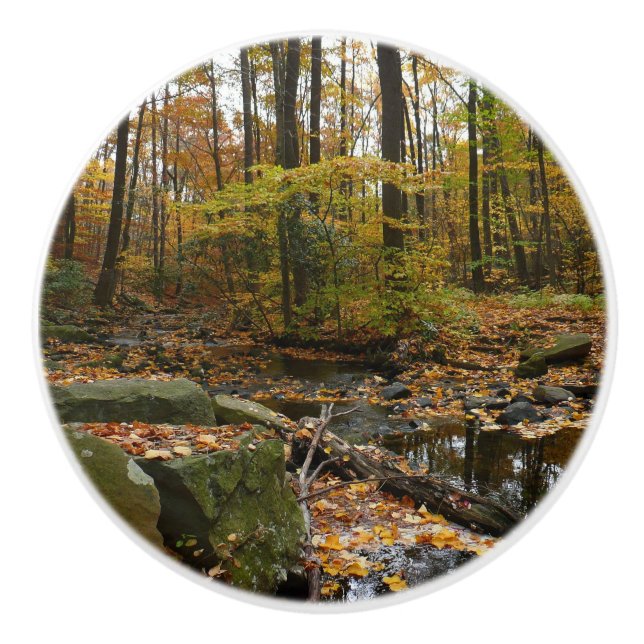 Fall Creek mit Blick auf den Laurel Hill Park Keramikknauf (Vorderseite)