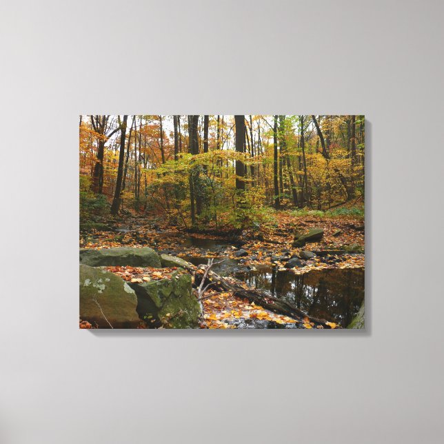 Fall Creek mit Blick auf den Laurel Hill Park Leinwanddruck (Vorderseite)