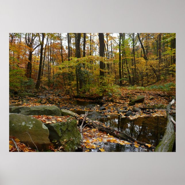 Fall Creek mit Blick auf den Laurel Hill Park Poster (Vorne)