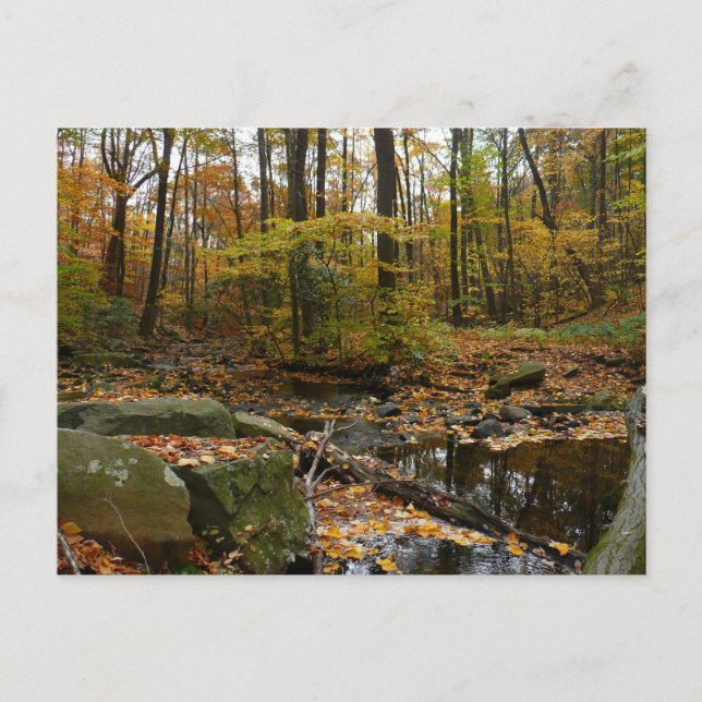 Fall Creek mit Blick auf den Laurel Hill Park Postkarte (Vorderseite)