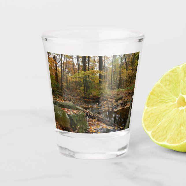 Fall Creek mit Blick auf den Laurel Hill Park Schnapsglas (Vorderseite)