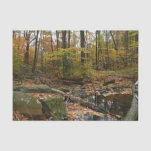 Fall Creek mit Blick auf den Laurel Hill Park Seidenpapier