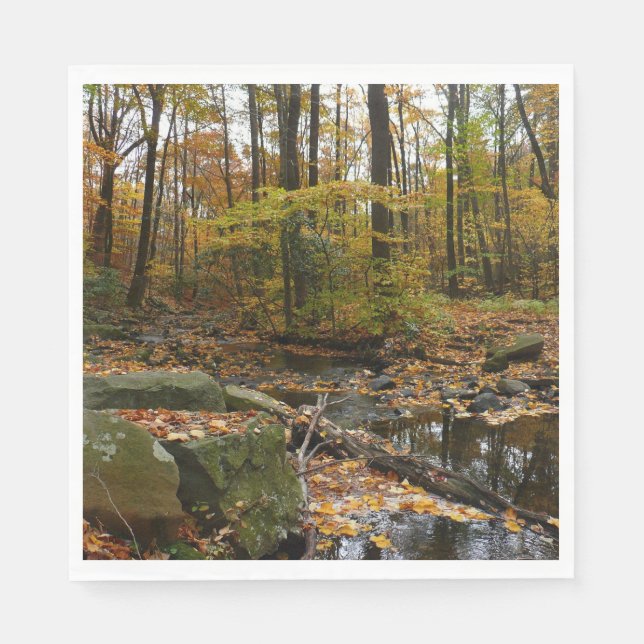 Fall Creek mit Blick auf den Laurel Hill Park Serviette (Vorderseite)