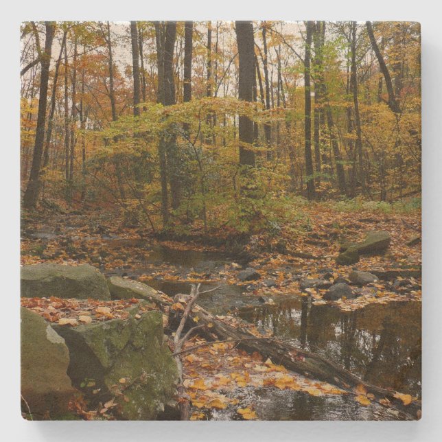 Fall Creek mit Blick auf den Laurel Hill Park Steinuntersetzer (Vorderseite)