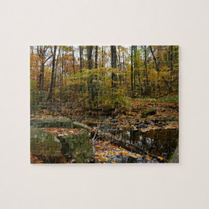 Fall Creek mit Spiegelung im Laurel Hill Park