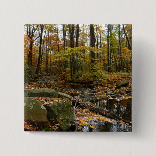 Fall Creek mit Spiegelung im Laurel Hill Park Button