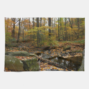 Fall Creek mit Spiegelung im Laurel Hill Park Geschirrtuch